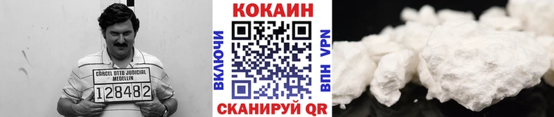 дарнет шоп  Мурманск  Кокаин Fish Scale 