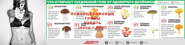 гашик Белоозёрский