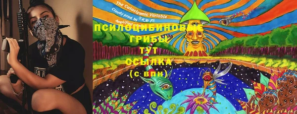 соль ск Богородск