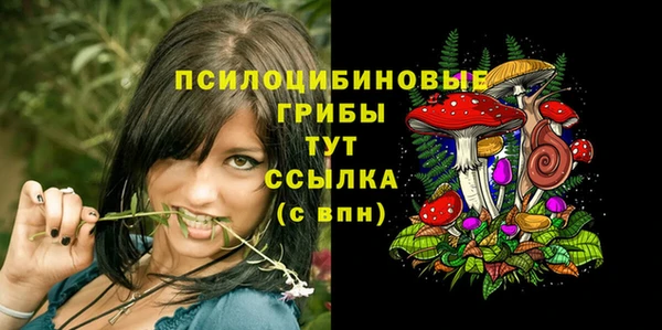 гашик Белоозёрский