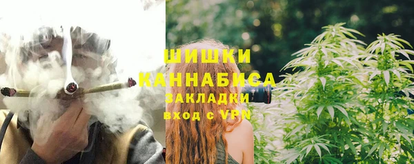 соль ск Богородск