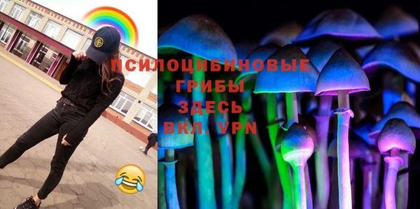 a pvp Богородицк
