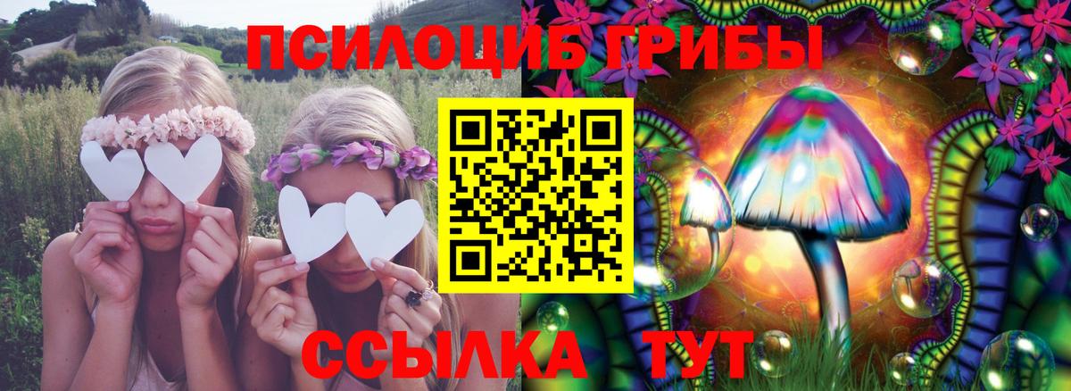 Мурманск  Галлюциногенные грибы Cubensis  Вход с VPN 